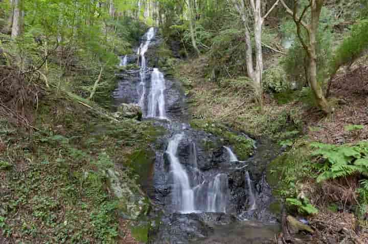 �����E�O�̑�S�i